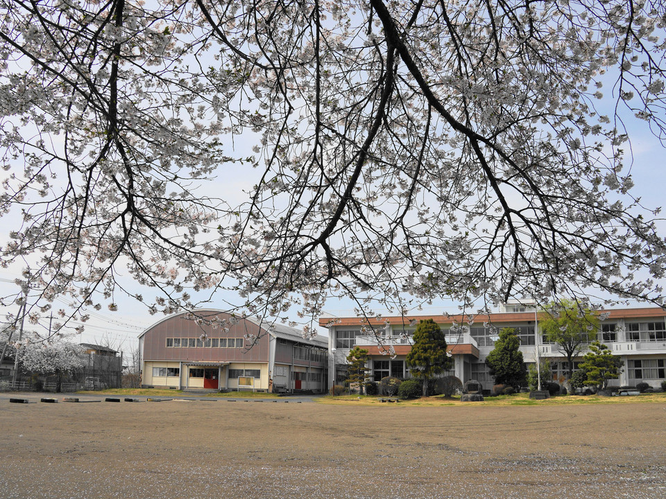 小学校跡と桜