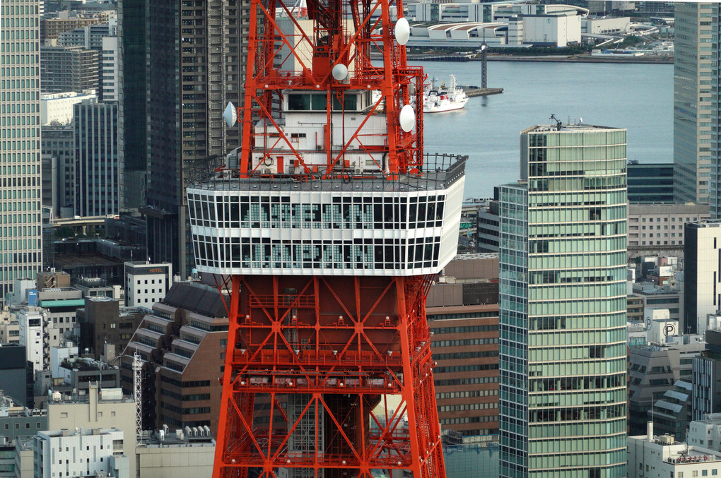 囲まれても東京タワー