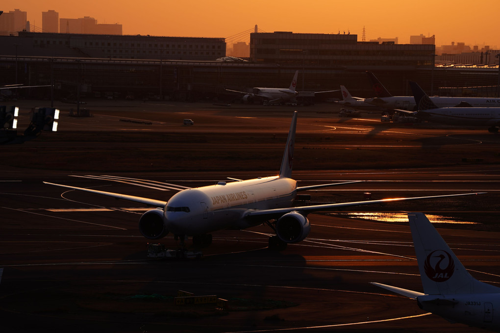 Sunset at Haneda Airport