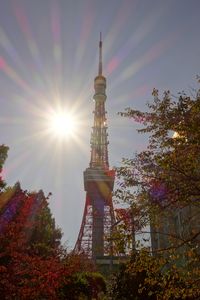 東京タワーと紅葉♪