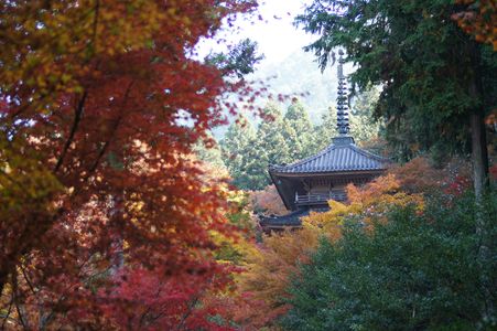 秋の高源寺