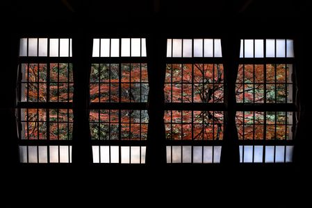 晩秋の大瀧神社　#カレンダー2024