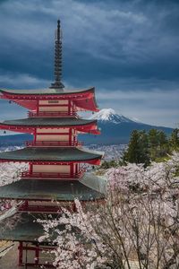 五重の塔と桜と富士山