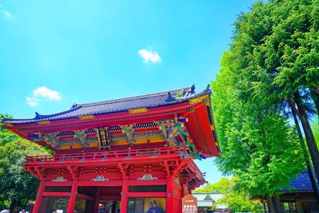 ～根津神社の楼門と新緑～