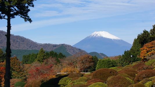 富士山＆紅葉