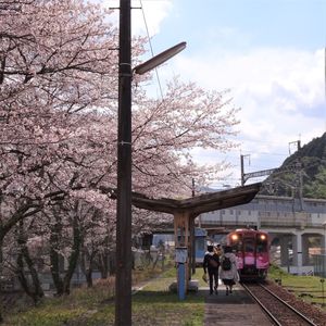 春の駅風景