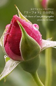 薔薇色の水滴、薔薇色のマクロ