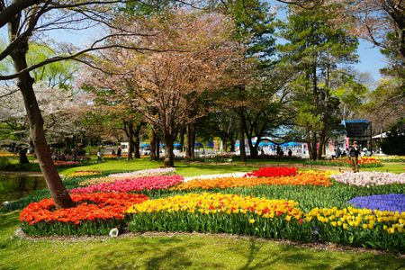 昭和記念公園に春が来た