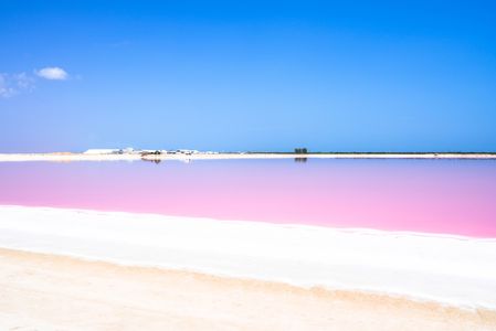 Heavenly Pink Lake