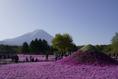 ダブル富士山