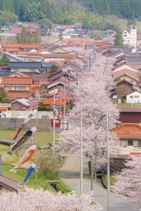 桜の行進