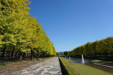 秋の訪れ　昭和記念公園