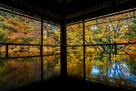 京都🍁紅葉散策🍁 2017.11.27