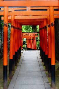 Shrine of The Ueno Park