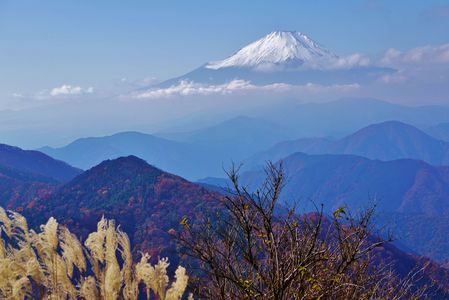 秋の鍋割山からの富士山