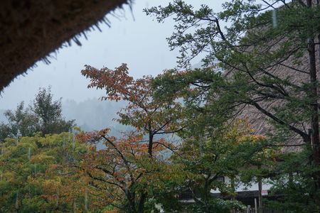 紅葉と雨と白川郷