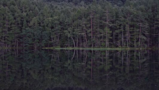静寂の池