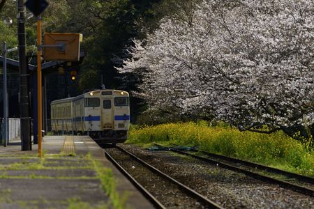 春を運ぶ列車