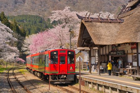 桜満開の湯野上温泉駅 2023