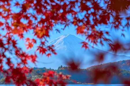 晩秋の富士