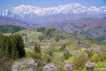 山里の春　～信州 小川村～