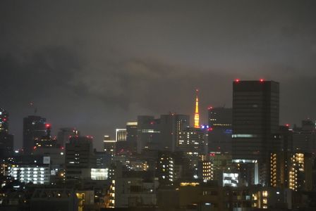 沈みゆく東京タワー