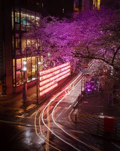 渋谷桜丘さくら坂桜ライトアップ