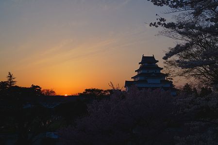 満開の桜と会津若松城(鶴ヶ城)の夕暮れ