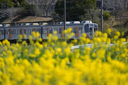春の豊橋鉄道