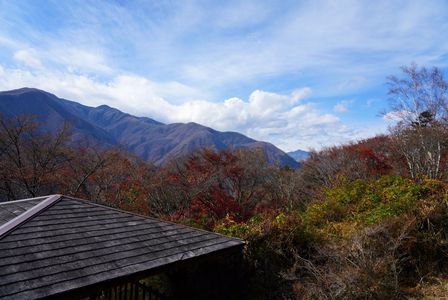三峯神社からの景色