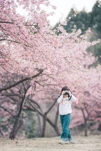 河津桜とカメラマン