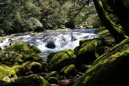 熊本県菊池渓谷
