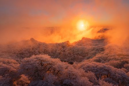 マイナス11℃の山頂で見た燃える霧氷