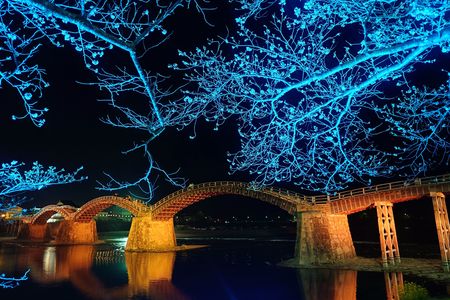 錦帯橋のライトアップと桜