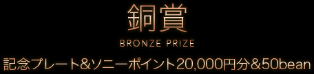銅賞 BRONZE PRIZE｜記念プレート＆ソニーポイント20,000円分＆50bean