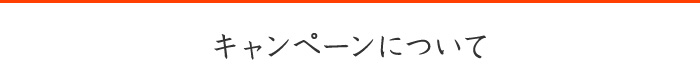 キャンペーンについて