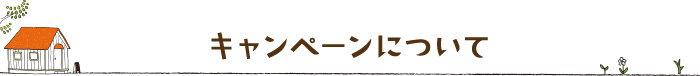 キャンペーンについて