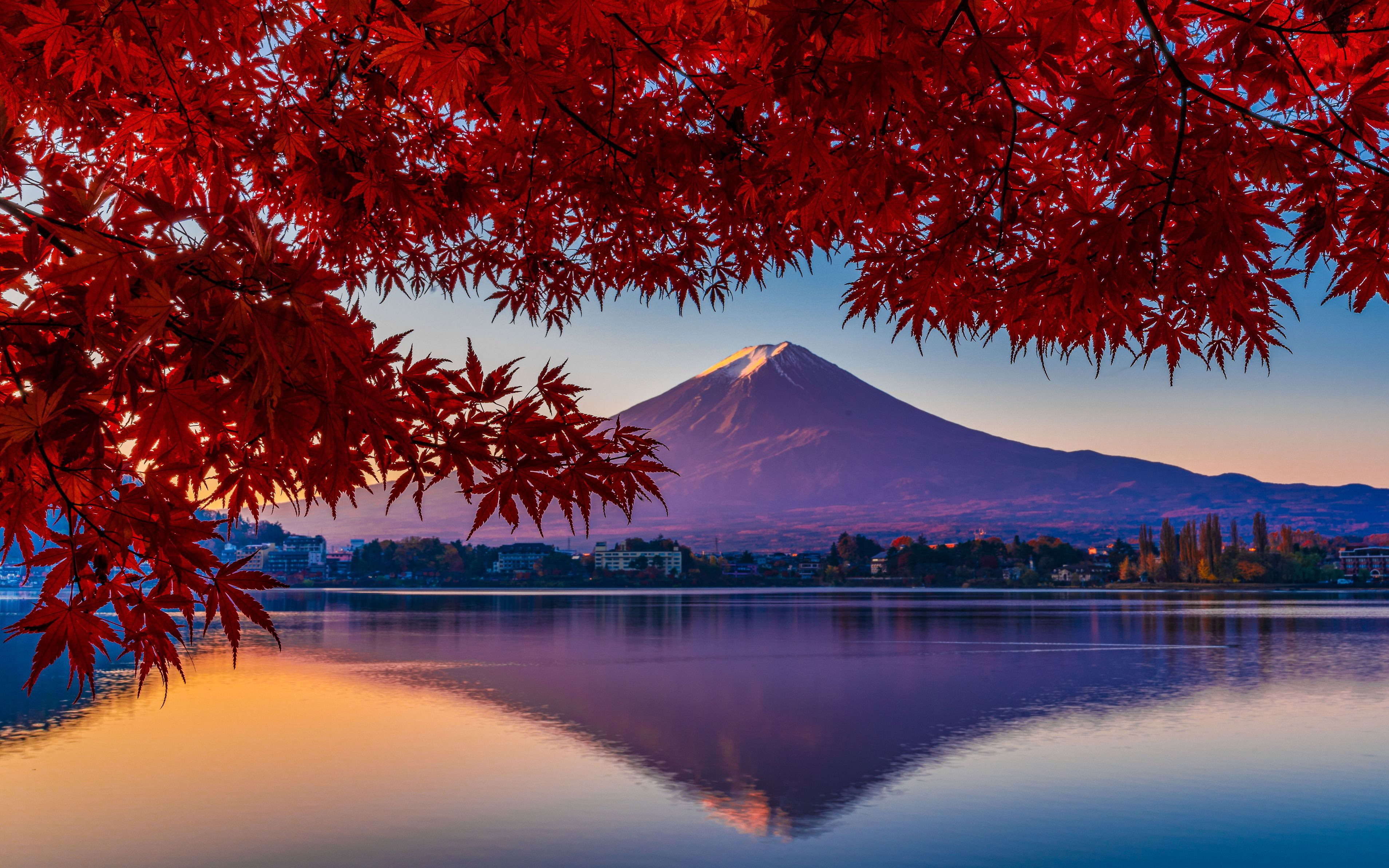 富士山と紅葉と リョウショーさん Acafe Aの写真投稿サイト ソニー
