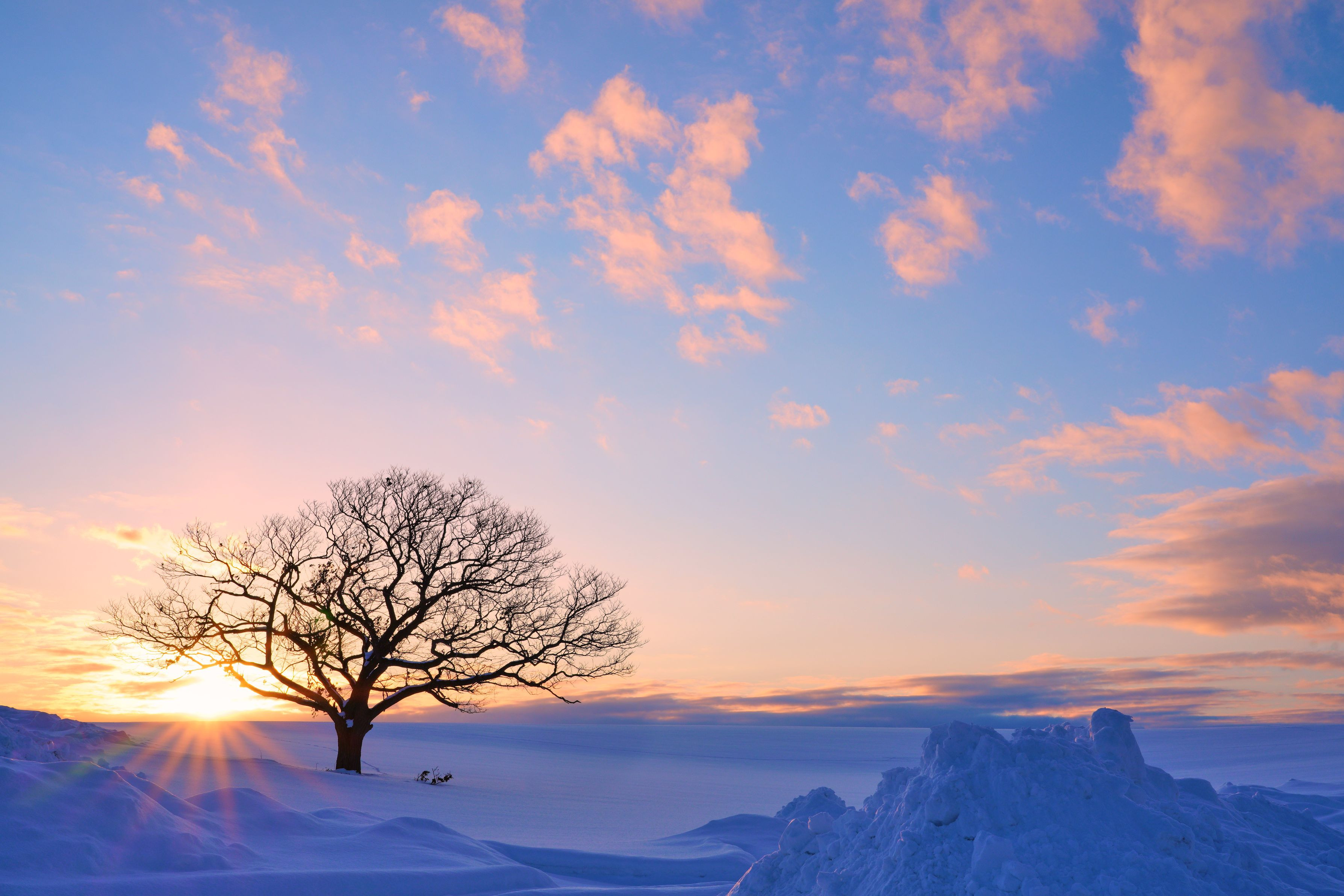 いい日旅立ち(kayaさん) αcafe αの写真投稿サイト ｜ ソニー