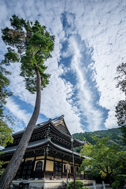 昇龍雲 T Kojiさん Acafe Aの写真投稿サイト ソニー