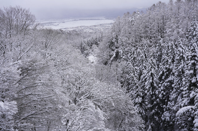 雪の方が全然まだマシ ますこさん Acafe Aの写真投稿サイト ソニー