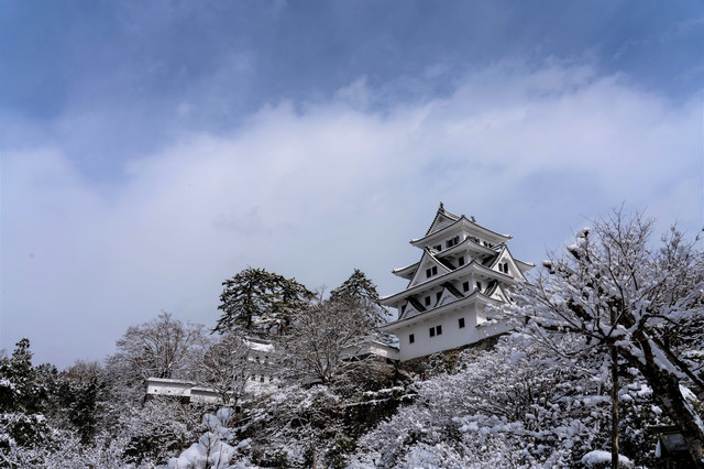雪桜とお城 郡上八幡 たそがれaさん Acafe Aの写真投稿サイト ソニー 雪桜とお城 郡上八幡 たそがれaさん Acafe Aの写真投稿サイト ソニー