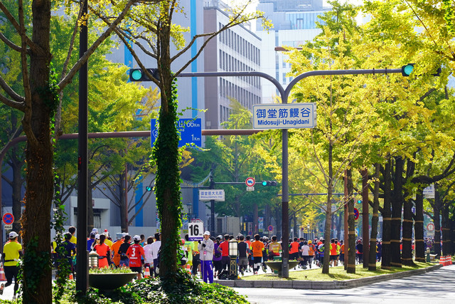 おおさかマラソン 御堂筋 銀杏並木とランナー 30さん Acafe Aの写真投稿サイト ソニー