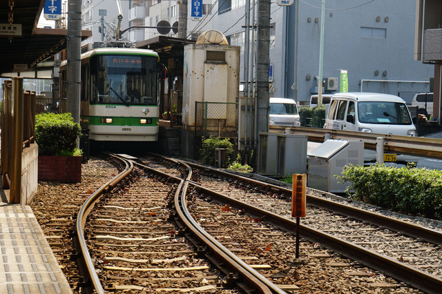 赤い手拭いマフラーにして二人で行った横町の風呂屋 Taro550さん Acafe Aの写真投稿サイト ソニー