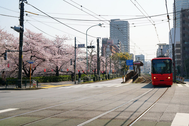 赤い手拭いマフラーにして二人で行った横町の風呂屋 Taro550さん Acafe Aの写真投稿サイト ソニー