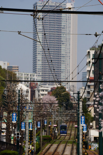 赤い手拭いマフラーにして二人で行った横町の風呂屋 Taro550さん Acafe Aの写真投稿サイト ソニー