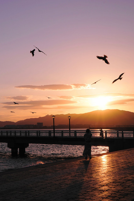 夕暮れの竹島 Akiさん Acafe Aの写真投稿サイト ソニー