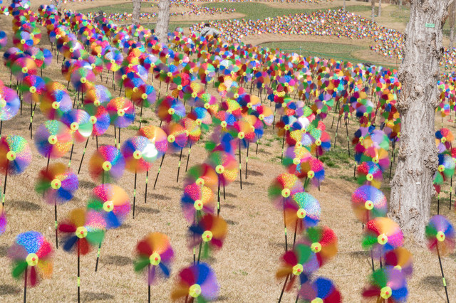 春を探しに その参 回れ風車 Lonely Wolfさん Acafe Aの写真投稿サイト ソニー