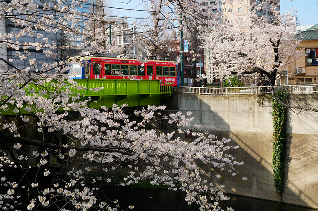 赤い手拭いマフラーにして二人で行った横町の風呂屋 Taro550さん Acafe Aの写真投稿サイト ソニー