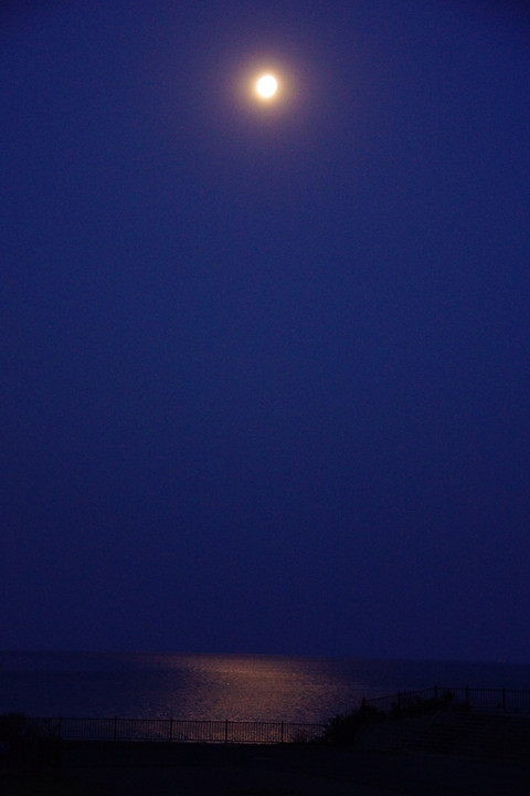 月明かりに照らされる駿河湾
